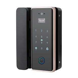 K898 facial and fingerprint glass door lock