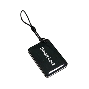 IC epoxy card